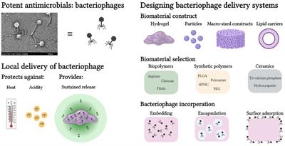 Local Bacteriophage Delivery for Treatment and Prevention of Bacterial Infections